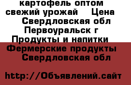 картофель оптом (свежий урожай) › Цена ­ - - Свердловская обл., Первоуральск г. Продукты и напитки » Фермерские продукты   . Свердловская обл.